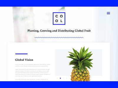 Cool Fruit Website