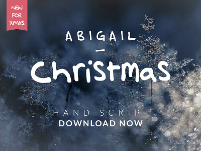 Abigail Christmas Hand Script Font font