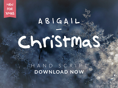 Abigail Christmas Hand Script Font