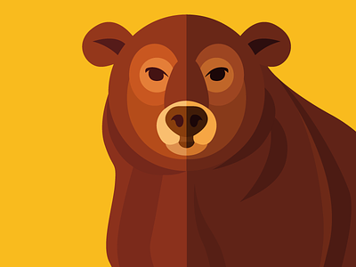 Animal cards: The Bear animal bear card cute flat forest illustration nature