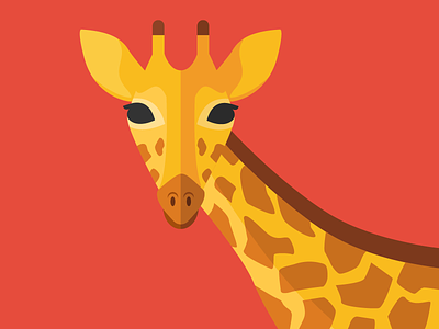 Animal cards: The Giraffe animal card cute flat giraffe illustration nature savannah