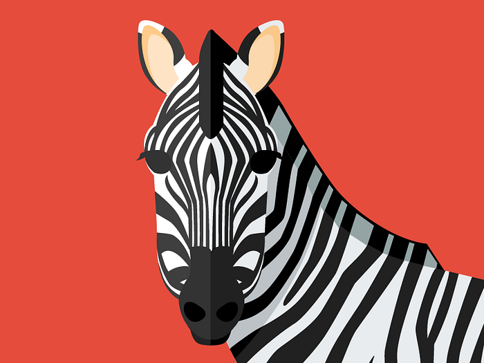 Animal cards: The Zebra by Nerea Marta on Dribbble