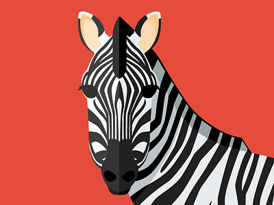 Animal cards: The Zebra animal card cute flat illustration nature savannah zebra