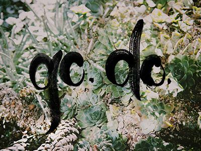Go Do Succulents brush double exposure green hand lettering lettering photography plants succulents type watercolor