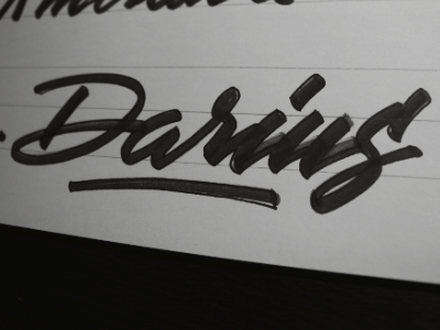 Darius Lettering calligraphy handlettering lettering logo logotype typography vector