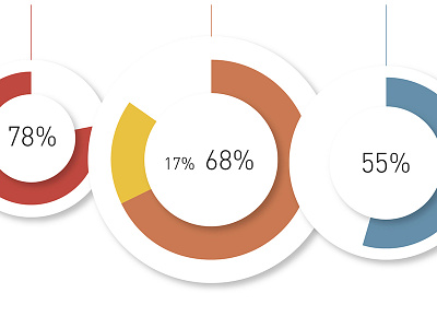 Pie Charts—Issue V: Education