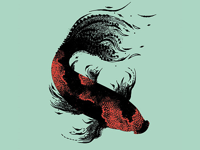 Koi fish fish illustration koi swim texture