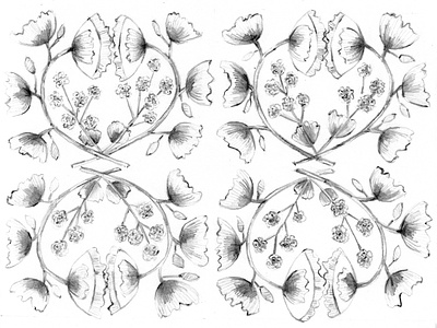 Lady's Mantle Botanical botanical illustration digital drawing illustration sketching watercolor
