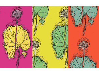 Coltsfoot Neons botanical art illustration surface pattern
