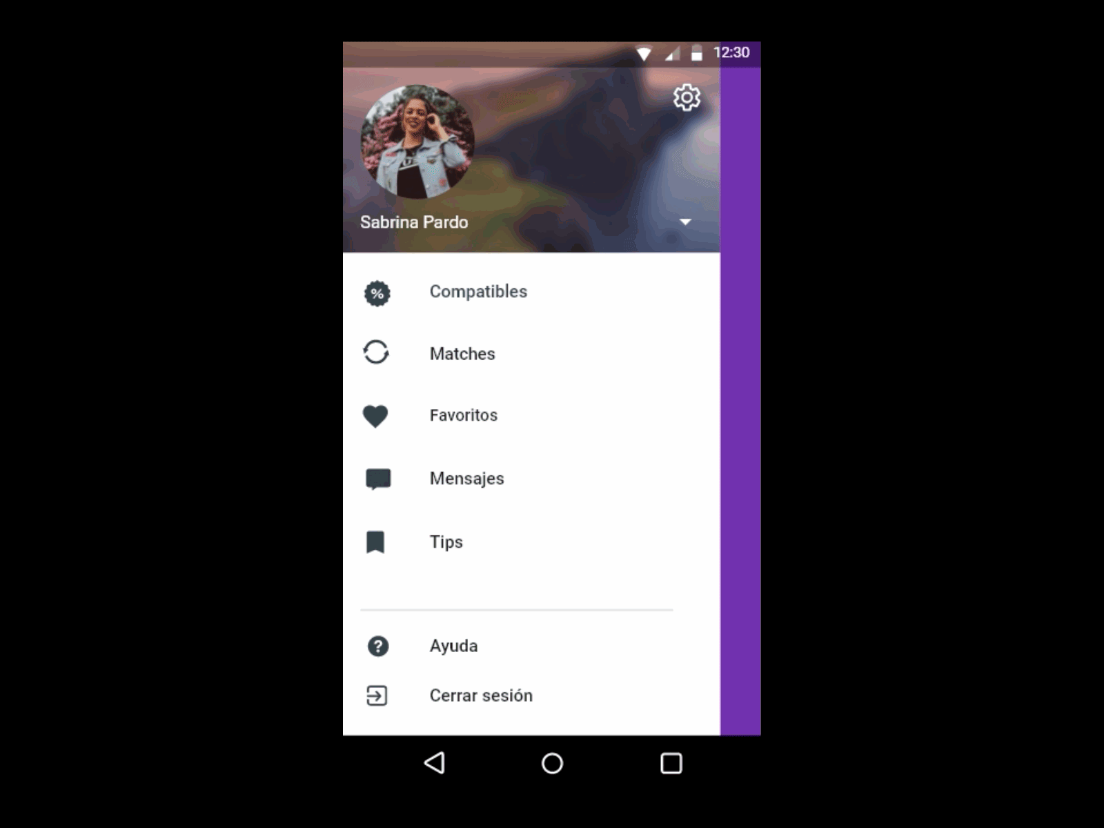 Settings - 007 Daily Challenge animation gif daily 100 challenge dailyui settings ux ui