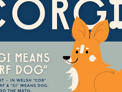 Corgi Infographic dog corgi infographic vector illustration kali meadows