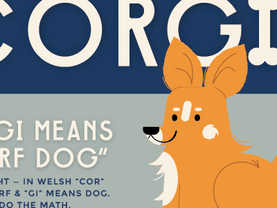 Corgi Infographic corgi dog illustration infographic kali meadows vector