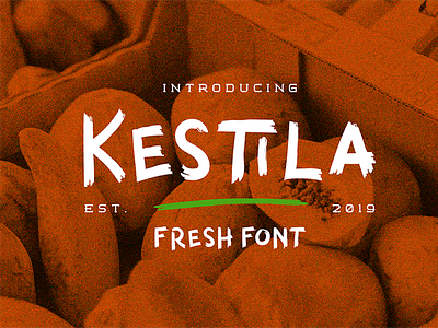Kestila app branding design fonts logo type typeface typography ui ux