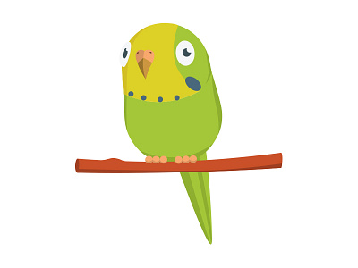 My birdie, as vector bird character darko design efremov flat graphic parrot vector