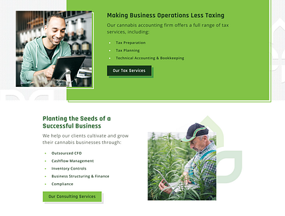 Cannabis CPA - Web Design accounting bookkeeping cannabis certified public accounting consulting cpa seo tax services taxes ui ux web design website