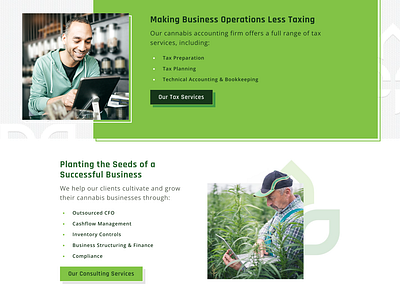 Cannabis CPA - Web Design