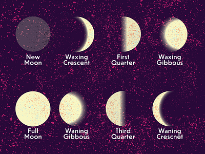 Moon chart adobe illustrator illustration texture vector