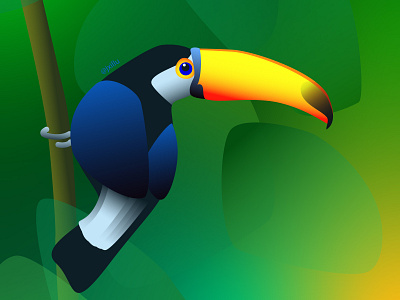 Colourful Tucan adobe illustrator bird bird illustration character design design illustration vector