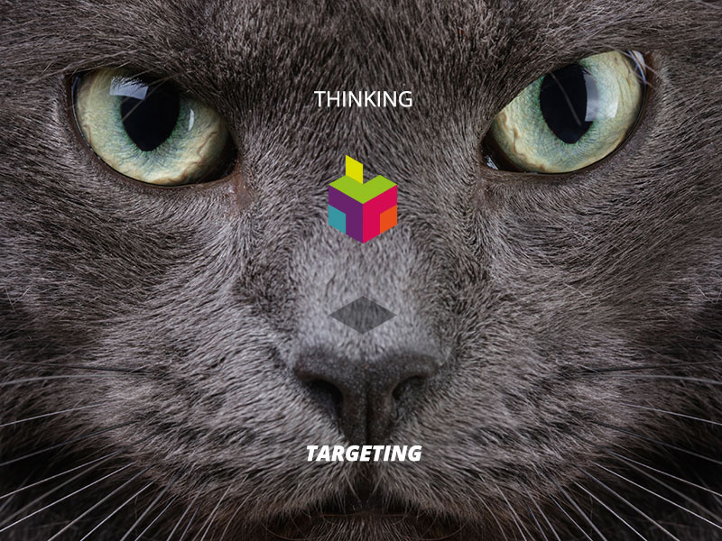 TT MEDIAlab - Concept 2 of X concept art direction design brand branding ux
