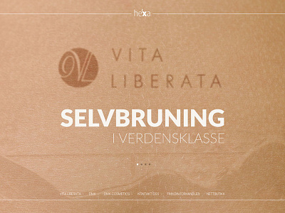 Hexa – Vita Liberata Summer art direction campaign concept design illustration