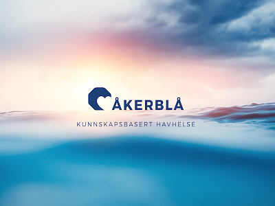Åkerblå Brand #havbruk – Aquaculture art direction brand concept design illustration