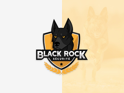 Black Rock Security illustration logo security