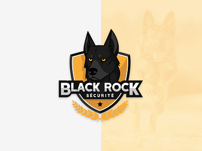 Black Rock Security