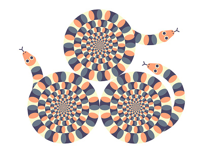 Ivy Press Optical Illusion illustration optical illusion snake