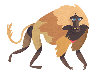 Gelada animal baboon gelada illustration