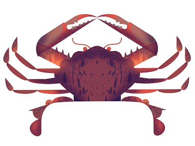 Orange Mud Crab crab