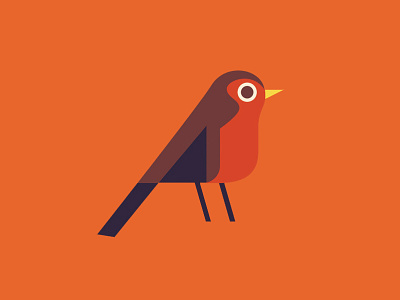 Start Robin bird robin