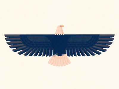 Eagle by Owen Davey on Dribbble