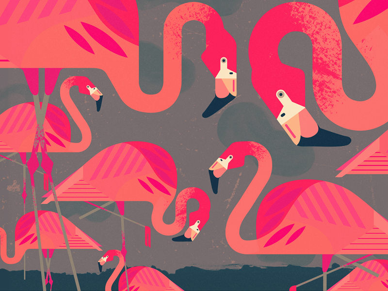 Flamingos By Owen Davey On Dribbble