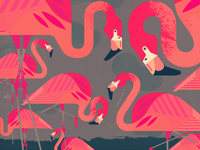 Flamingos