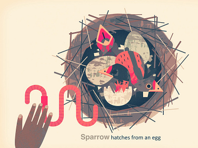 Sparrow bird egg nest sparrow worm