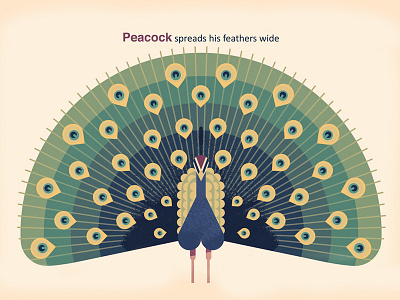 Peacock