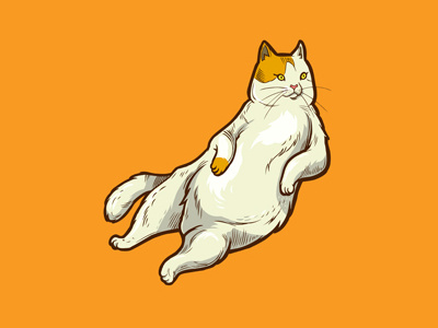 FatCat apparel cat cats design drawing fatcat flash illustration kitty san francisco tee