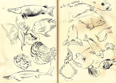 Sketches From My Trip To San Francisco By Nick Sirotich On Dribbble