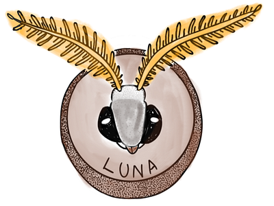 mounted Luna Moth head digital art digital brushes digital design digital illustration digital painting luna moth procreate procreate app procreate art