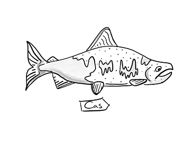 Sockeye Salmon Flash design digital digital art digital design digital illustration dot dotwork flash illustration ipad pro procreate procreate art sockeye salmon tattoo design