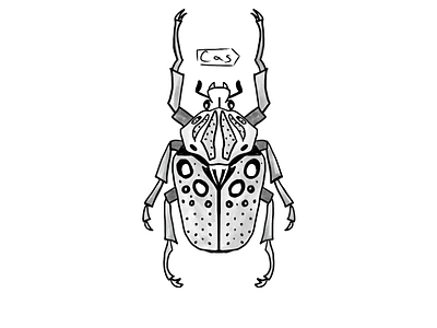 Goliath Beetle Flash 🪲