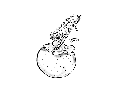 Persimmon and Caterpillar Flash 🐛 design digital digital art digital illustration illustration ipad pro procreate procreate art