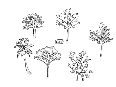 Trees Flash 🌲 🌳 🌴 design digital digital art digital illustration illustration ipad pro procreate procreate art