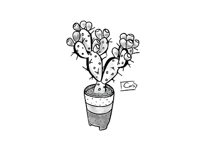 Prickly Pear Flash 🌵 design digital digital art digital illustration illustration ipad pro procreate procreate art