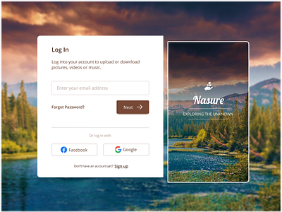 Log In Concept (Nasure)