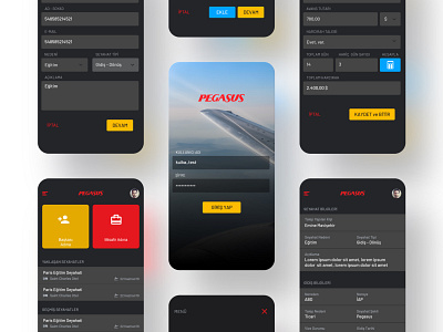 Pegasus travel and expense app