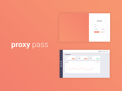 Proxy Pass - Proxy Company ui ui design