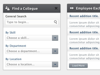 Intranet Re-design application blue gray intranet module search