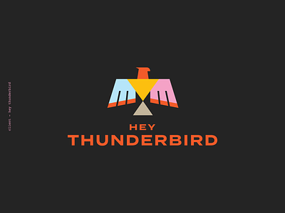 Hey Thunderbird! New brand reveal. bird brand branding design hey logo mark thunderbird