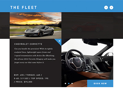 The Fleet button car flat gallery logo nav profile team ui ux web design